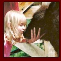 Click photo to enlarge