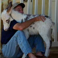 Larry and Huggy Girl, Mona Lisa