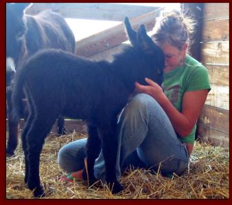 Click photo to enlarge image