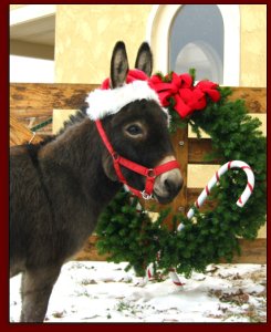 Click photo to enlarge image