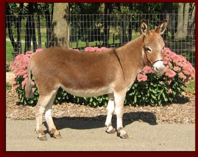 Click photo to enlarge image